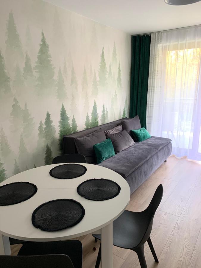 Apartament Skalisty Karpacz Kültér fotó